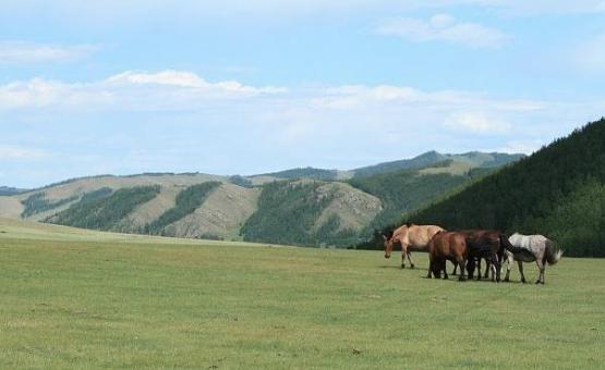 夏竦为何被罢免