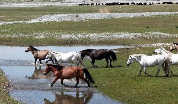 夏竦为何被罢免