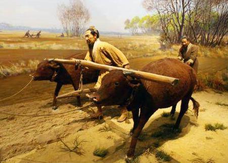 重农抑商简介 改政策产生的原因和什么有关