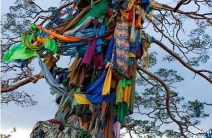 萨满教中的萨满指的是什么  常见的仪式有哪些