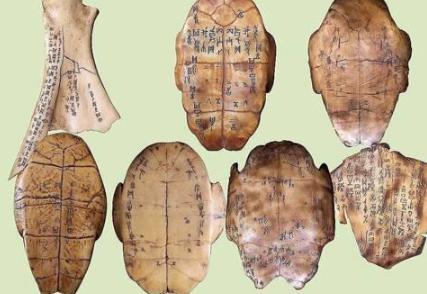 甲骨文中提到过夏朝吗