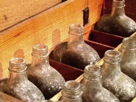 威士忌酒反抗高潮时间是在哪一年 抗议运动期间都发生什么事情