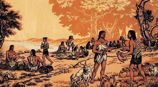 父系氏族社会起源于什么时候