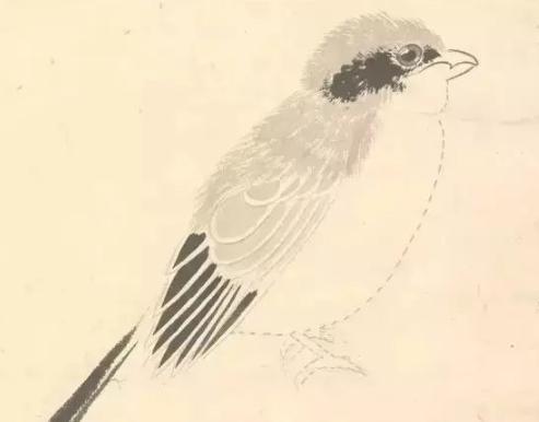 张其翼原来是这样画翎毛!