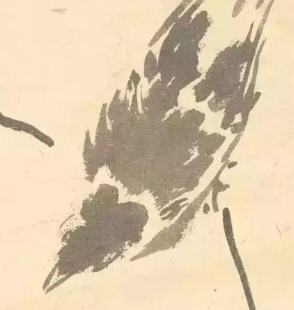 张其翼原来是这样画翎毛!