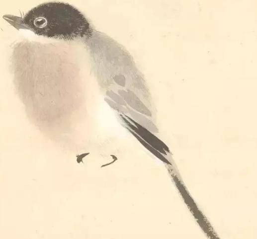 张其翼原来是这样画翎毛!