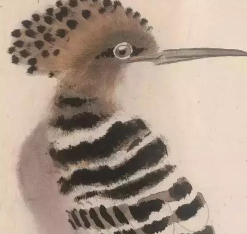 张其翼原来是这样画翎毛!