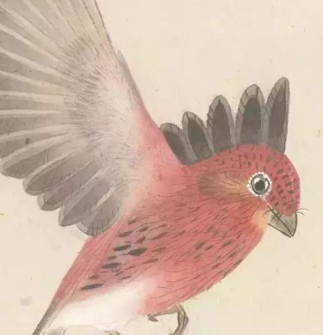 张其翼原来是这样画翎毛!