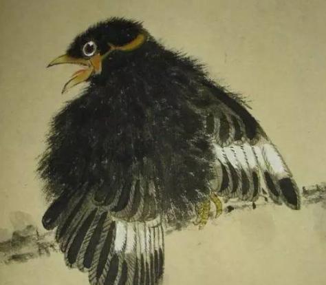 张其翼原来是这样画翎毛!