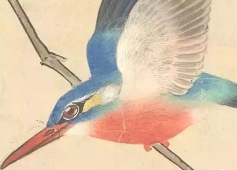 张其翼原来是这样画翎毛!