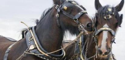 揭秘八百里加急中的残忍的规定 一旦开始就不能停下来