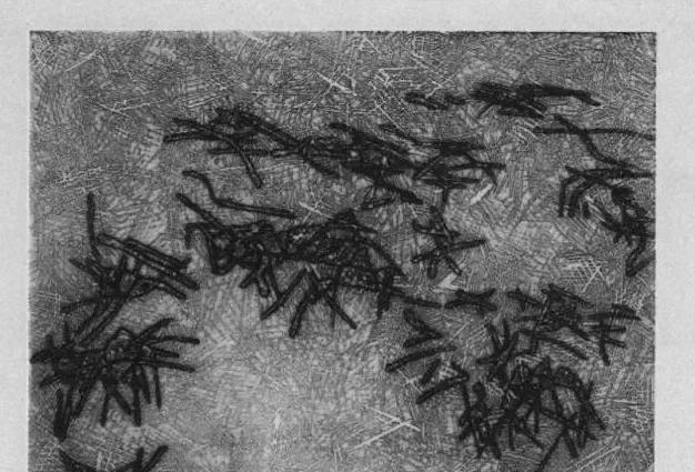 保罗&middot;策兰是犹太人吗