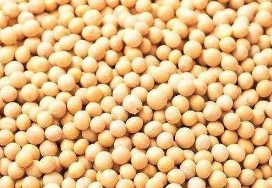 两千多年前，春秋战国时期的人们吃什么主食