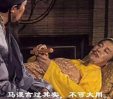 街亭丢失之后 马谡真的被诸葛亮所杀了吗