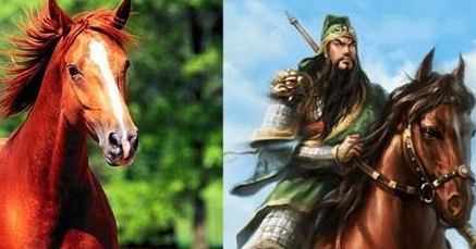 中国古时候的马一天能跑多少里地呢 日行千里可能吗