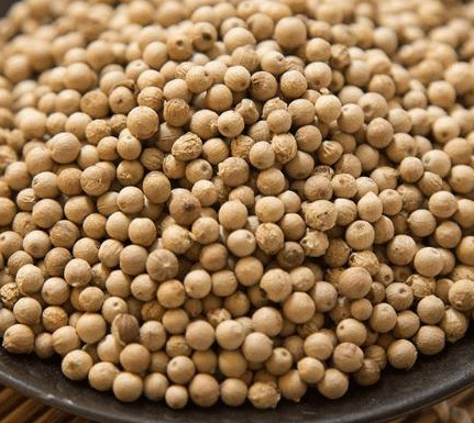 古代胡椒粉真的很值钱吗 为何他会因为胡椒粉而被惨遭灭门