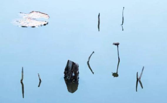 揭秘:唐朝诗坛“三大天后”的悲情人生