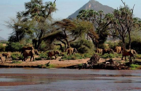 历史上神秘消失的六大古国，龟兹王国排第三