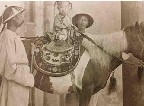 溥仪作为大清最后的皇帝，她的悲剧到底是谁造成的