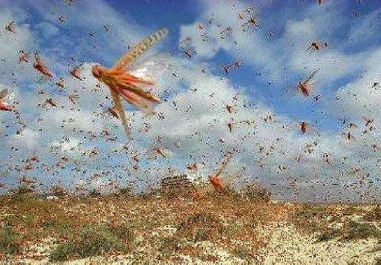 姚崇：他的权谋不但体现了原则性，更体现了灵活性</span>
                      