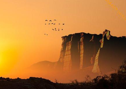 探索宋之问的双面人生，他为社会发展做了什么？</span>
                      