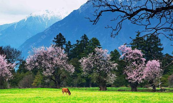 唐代诗坛一代英才,王勃为何才高命薄?</span>